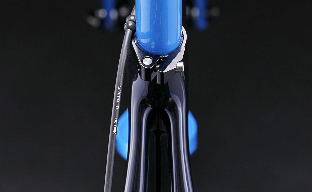 Custom Dream Carbon Frame