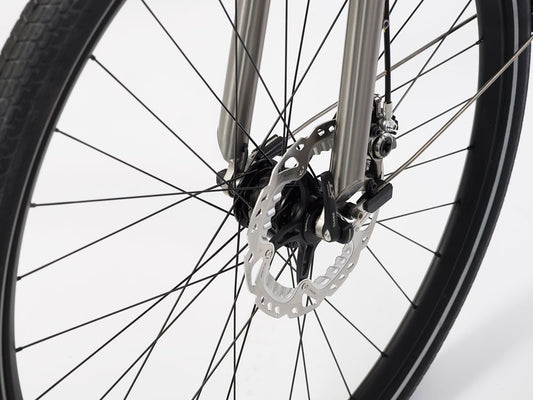 s Pinion Adventure Titanium Bike