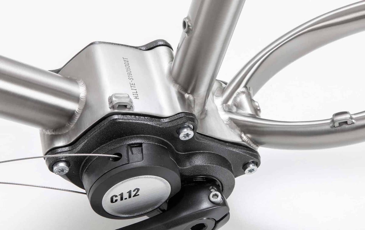 s Pinion Classic Adventure Titanium frame