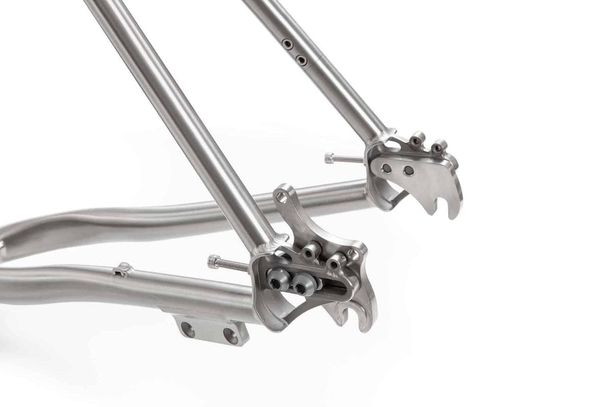s Pinion Classic Adventure Titanium frame