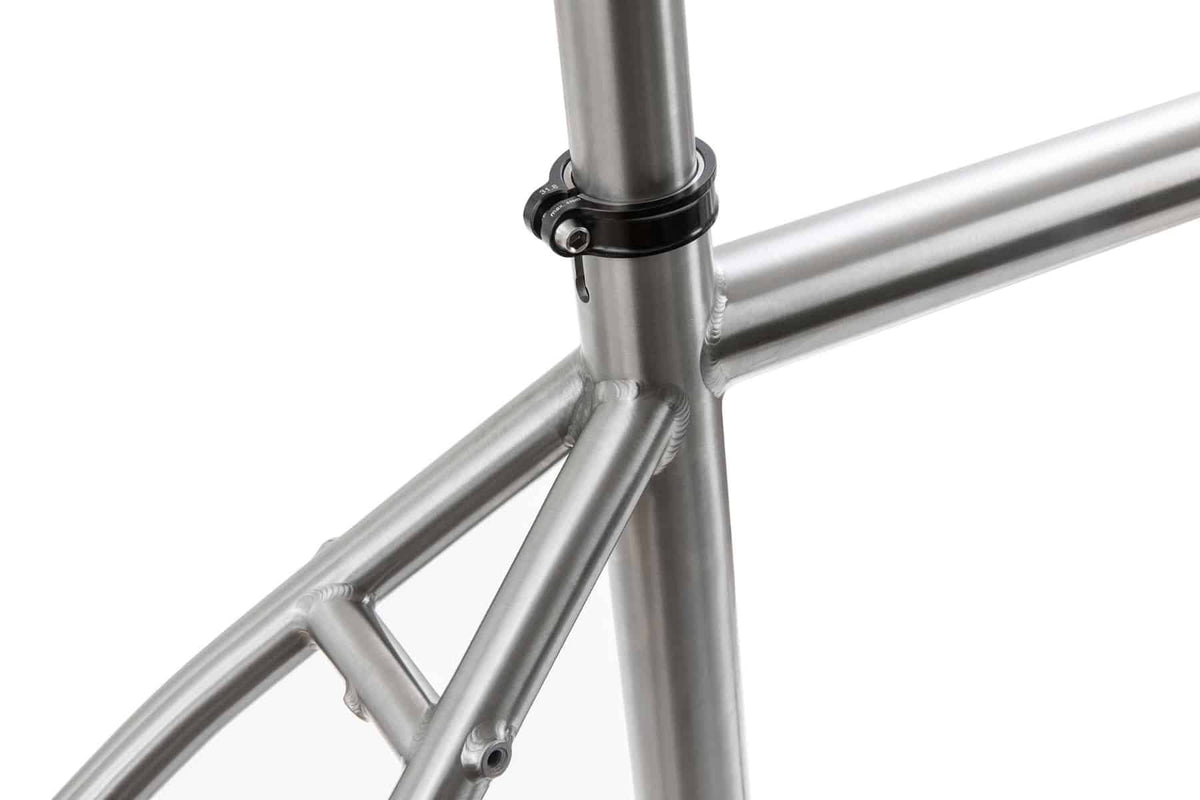 s Pinion Classic Adventure Titanium frame