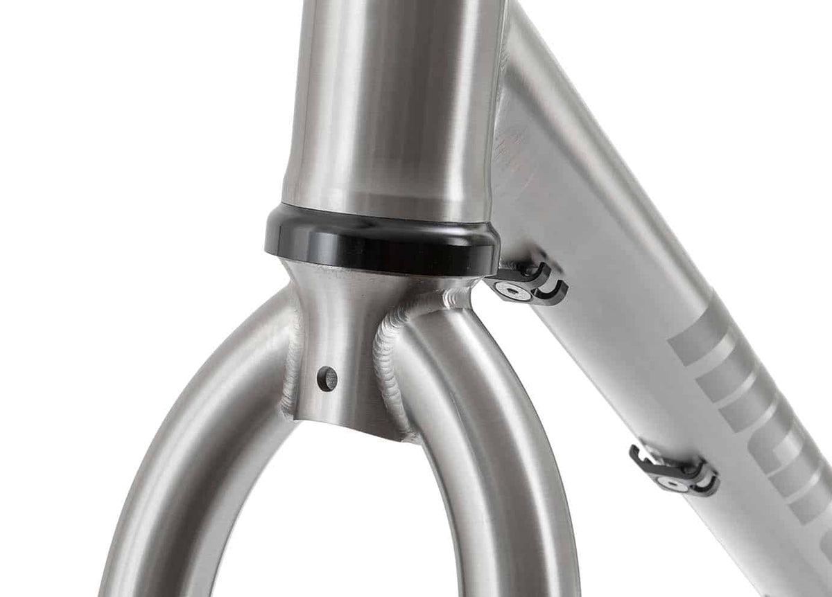 s Pinion Adventure Titanium frame