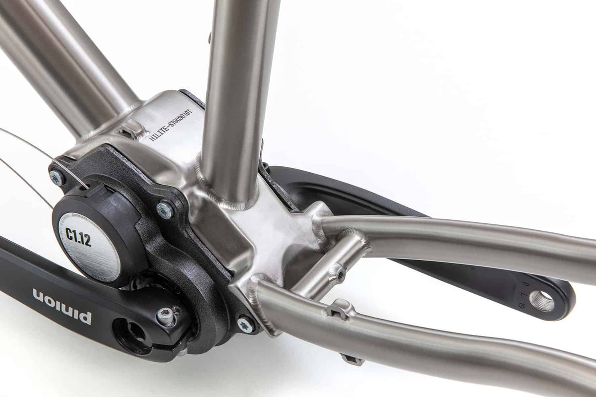 s Pinion Adventure Titanium frame