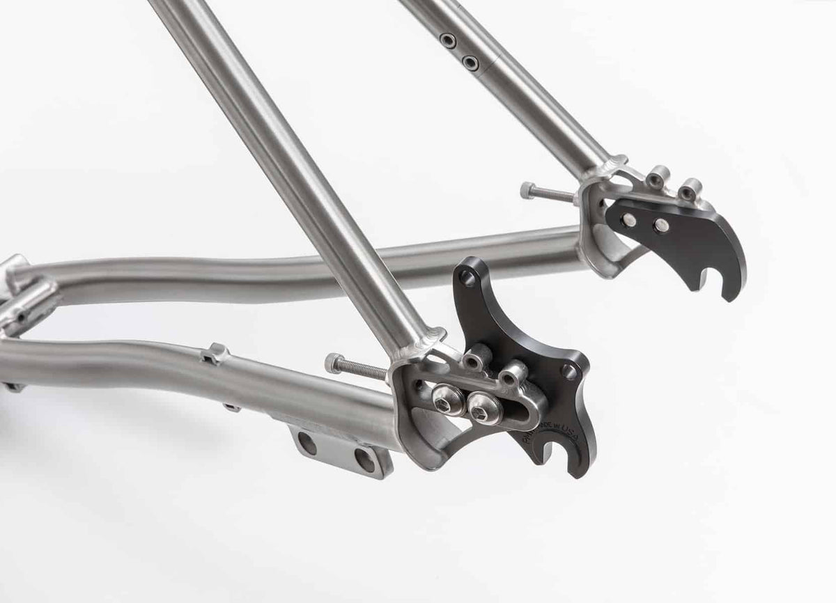 s Pinion Adventure Titanium frame