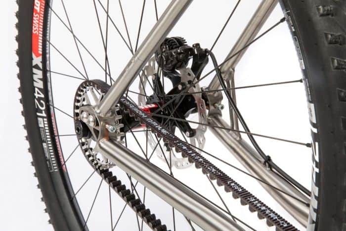 s Pinion Hardtail MTB Titanium Bike