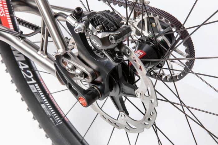 s Pinion Hardtail MTB Titanium Bike