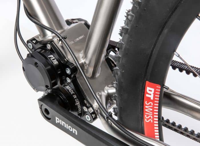 s Pinion Hardtail MTB Titanium Bike