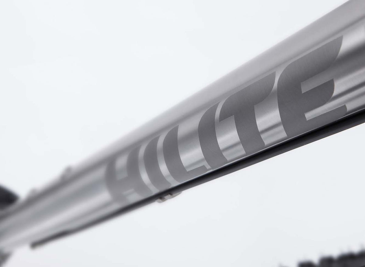 s Pinion Hardtail MTB Titanium frame
