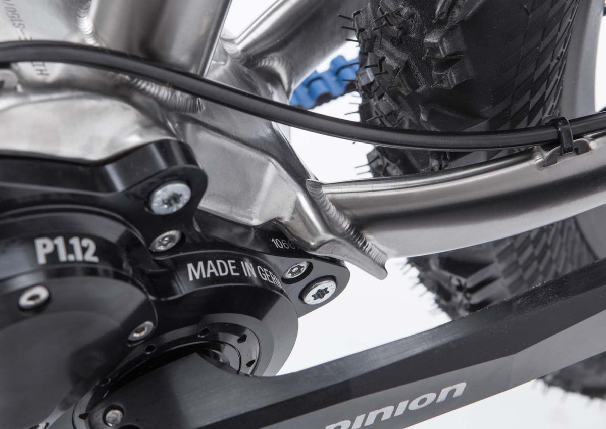 s Pinion Hardtail MTB Titanium frame