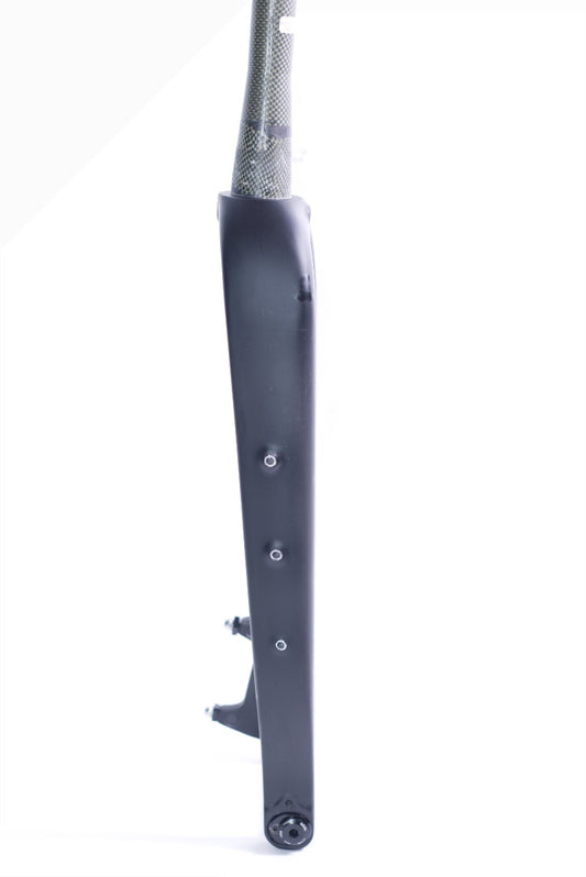 Tandem Gabel Carbon Postmount für Touring und Gravel