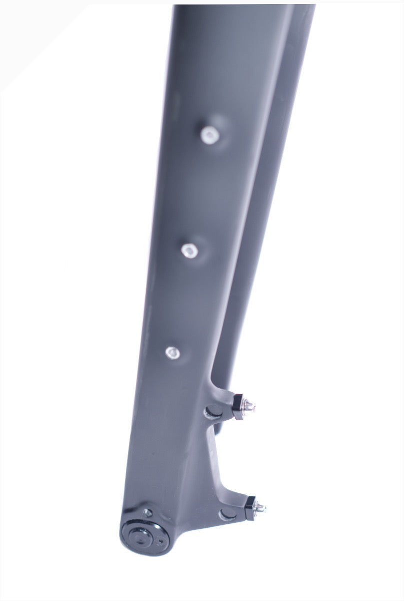Tandem Gabel Carbon Postmount für Touring und Gravel