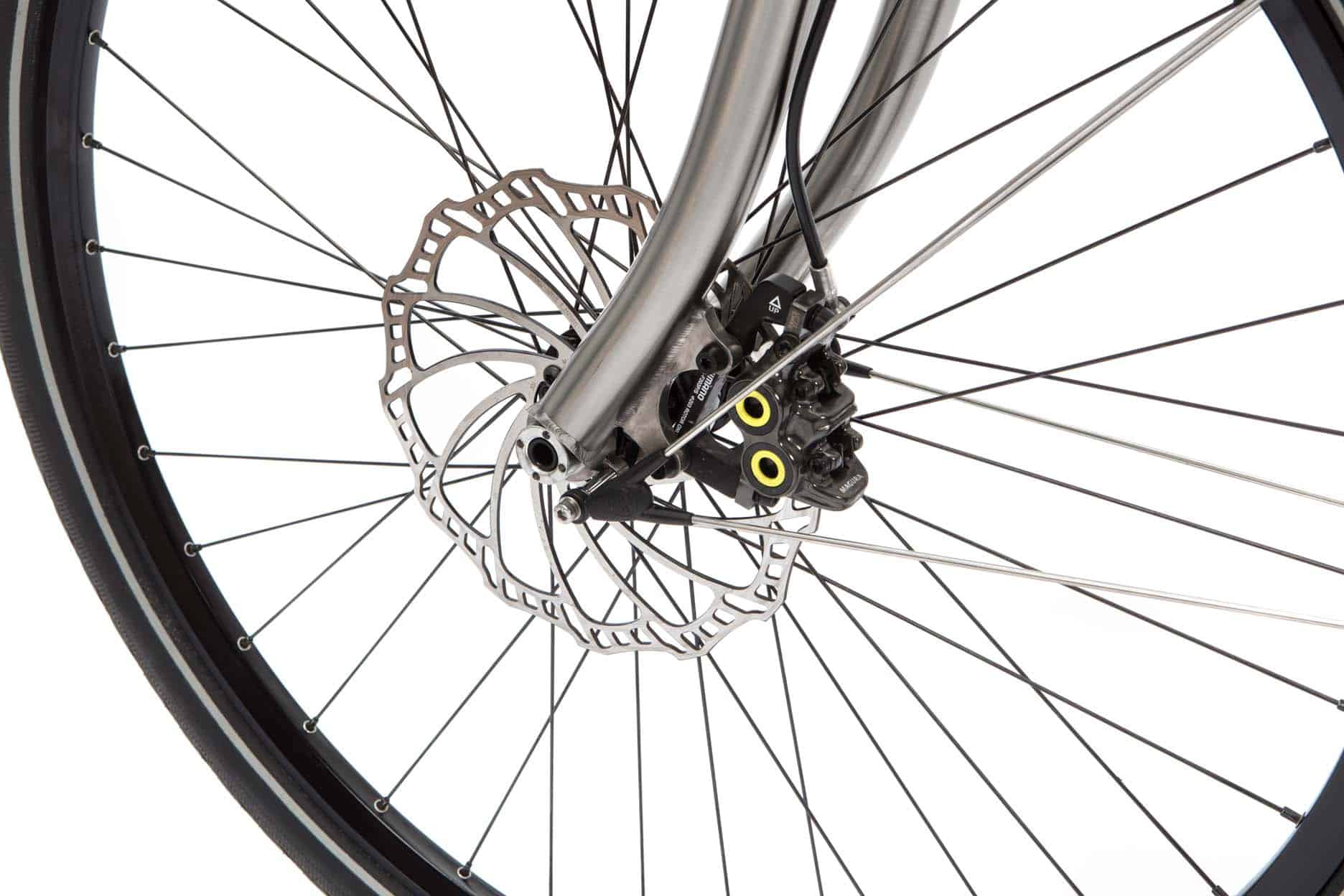 Pinion-E-Bike-with-Gates_6